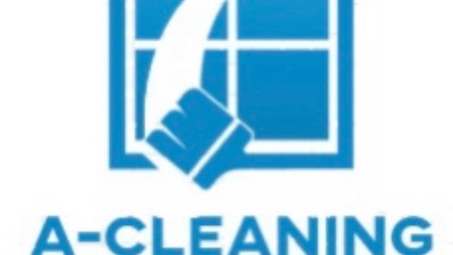 Cleaner
