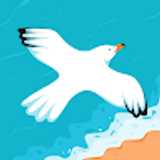 Lloret L. avatar icon