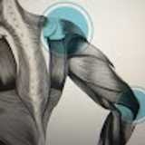 Ralph L. avatar icon