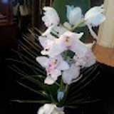 Nuria R. avatar icon