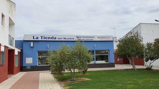 Carpintero/a de Madera