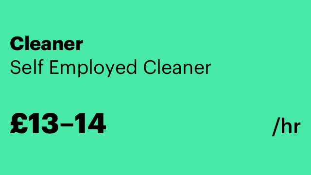 Cleaner