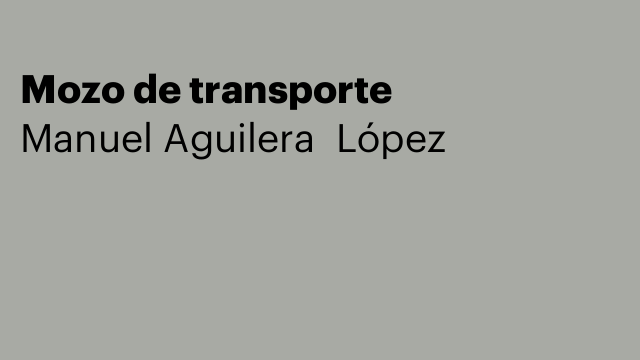 Mozo de transporte