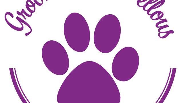 Dog Grooming Assistant