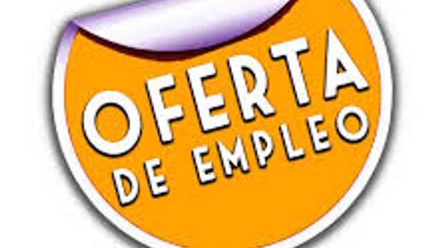 Camarero/a de Barra y Sala/Terraza