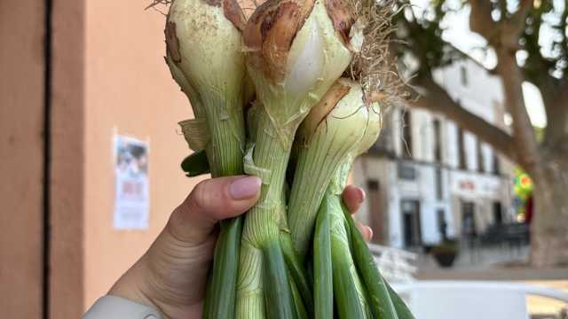 Ayudante/a de Cocinero/a