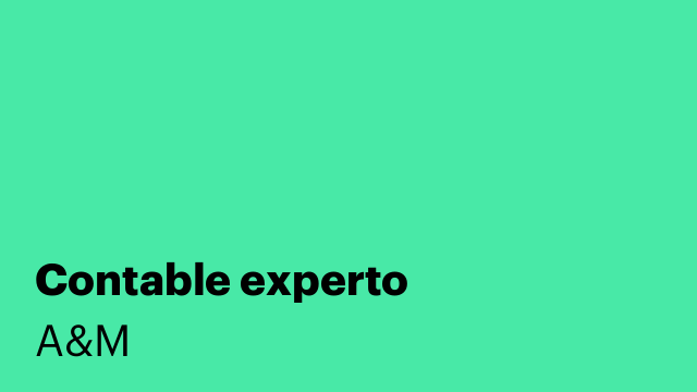 Contable experto