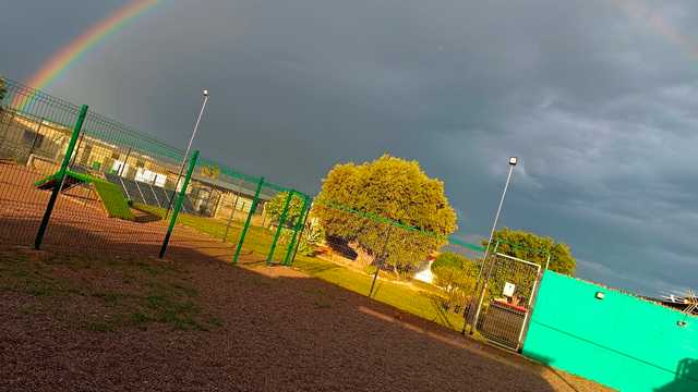 Mantenimiento y cuidados