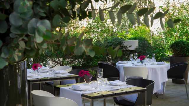 Cocinero/a Restaurante