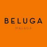 Beluga M. avatar icon
