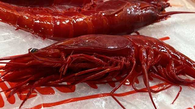 Segundo/a de Cocina