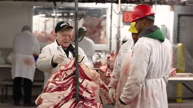 Butcher, Wholesale (Bronx, NY)