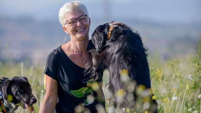 Cuidador/a canino
