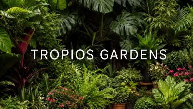 Ayudante/a de Jardinería