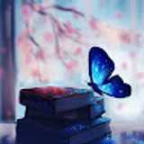 Shuxin Y. avatar icon