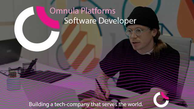 Software Developer