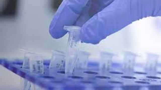 Técnico/a laboratorio en Terrassa sector alimentación