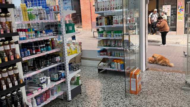 Dependiente/a de Tienda