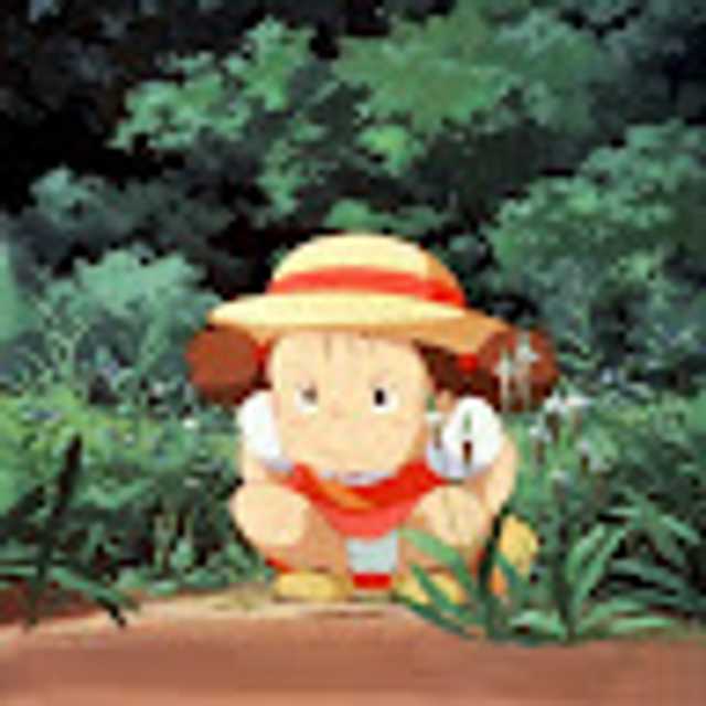 Candidate avatar