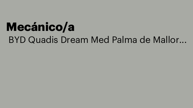 Mecánico/a