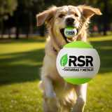 RSR Reciclajes Contenedores y Transportes logo