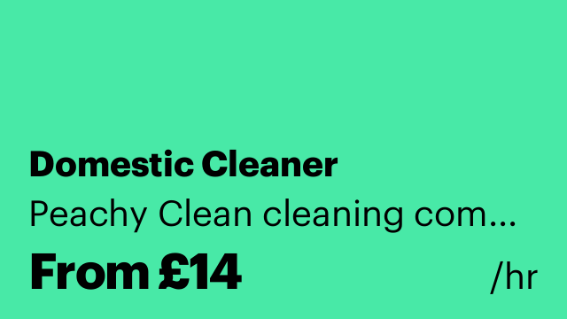 Domestic Cleaner