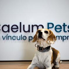 company photo