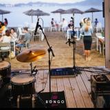 Bongo Beach avatar icon