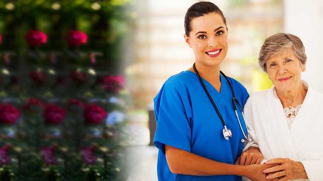 Domiciliary Care Assistant