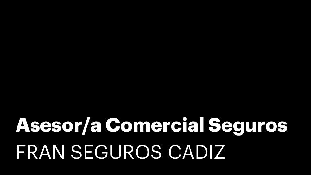 Asesor/a Comercial Seguros