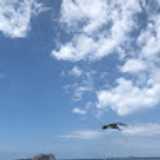 yuqing P. avatar icon