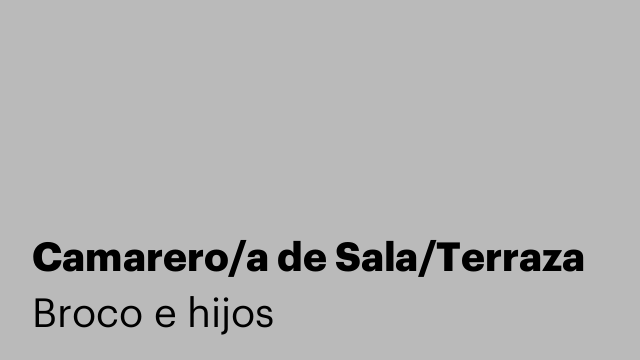Camarero/a de Sala/Terraza