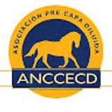 ANCCECD avatar icon