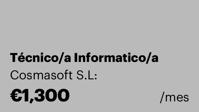 Técnico/a Informatico/a