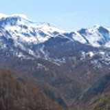 David R. avatar icon