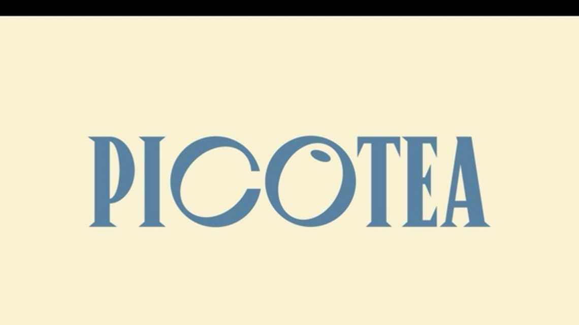PICOTEA cover image