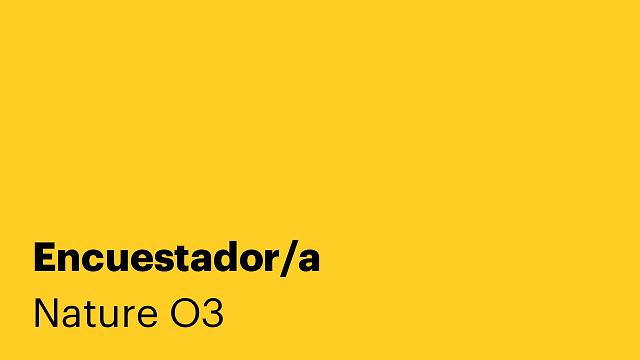 Encuestador/a