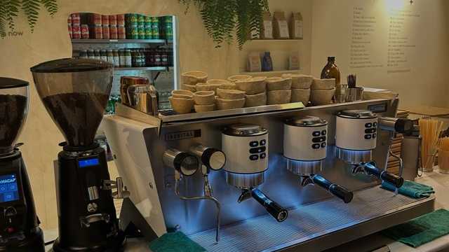 Barista