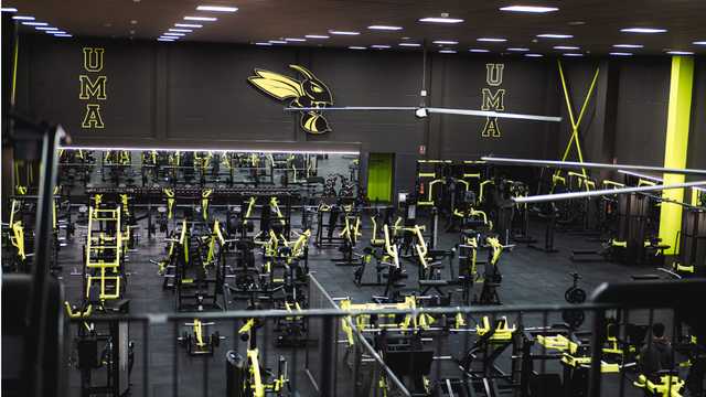 MANAGER GIMNASIO