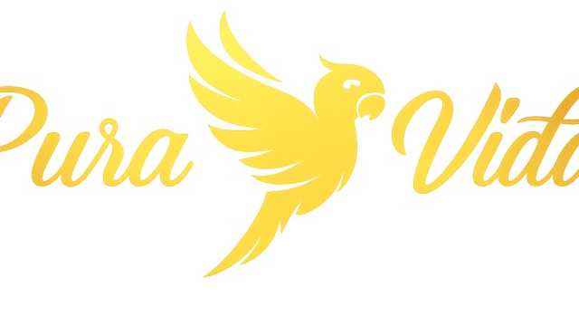 Ayudante de Coctelería