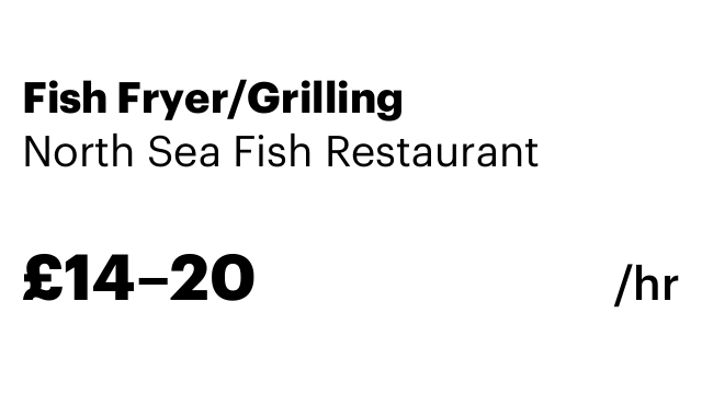 Fish Fryer/Grilling