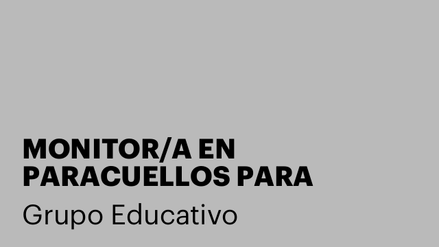 MONITOR/A EN PARACUELLOS PARA INFORMATICA