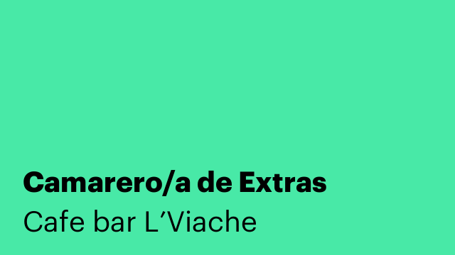 Camarero/a de Extras