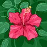 Christian D. avatar icon