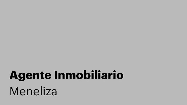 Agente Inmobiliario