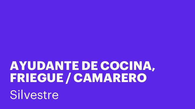 AYUDANTE DE COCINA, FRIEGUE / CAMARERO
