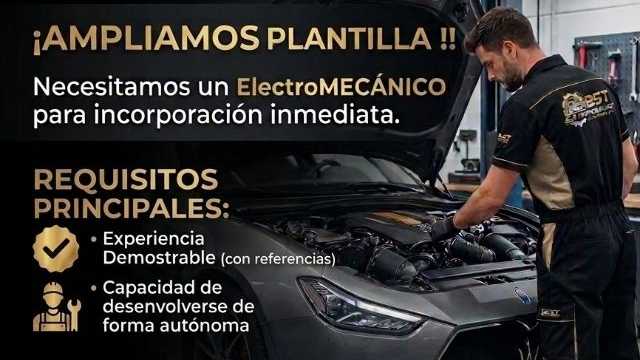 Electromecánico/a