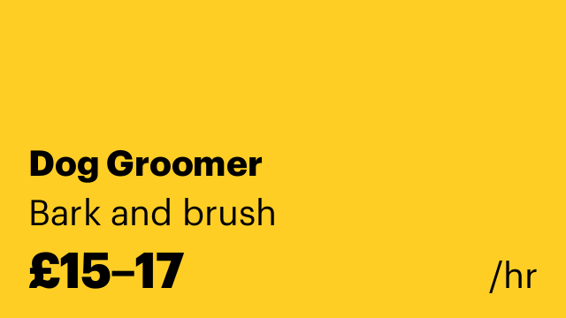 Dog Groomer