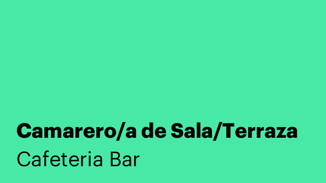 Camarero/a de Sala/Terraza