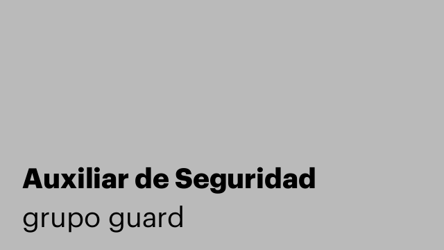 Auxiliar de Seguridad
